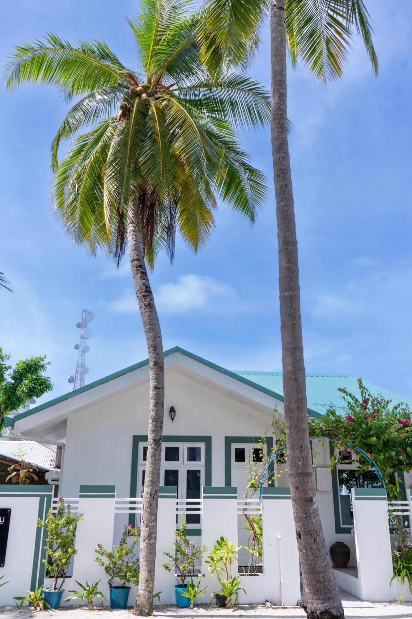 Hotel Vaali Maldives Island Escapes & Dive Felidhoo Exteriér fotografie