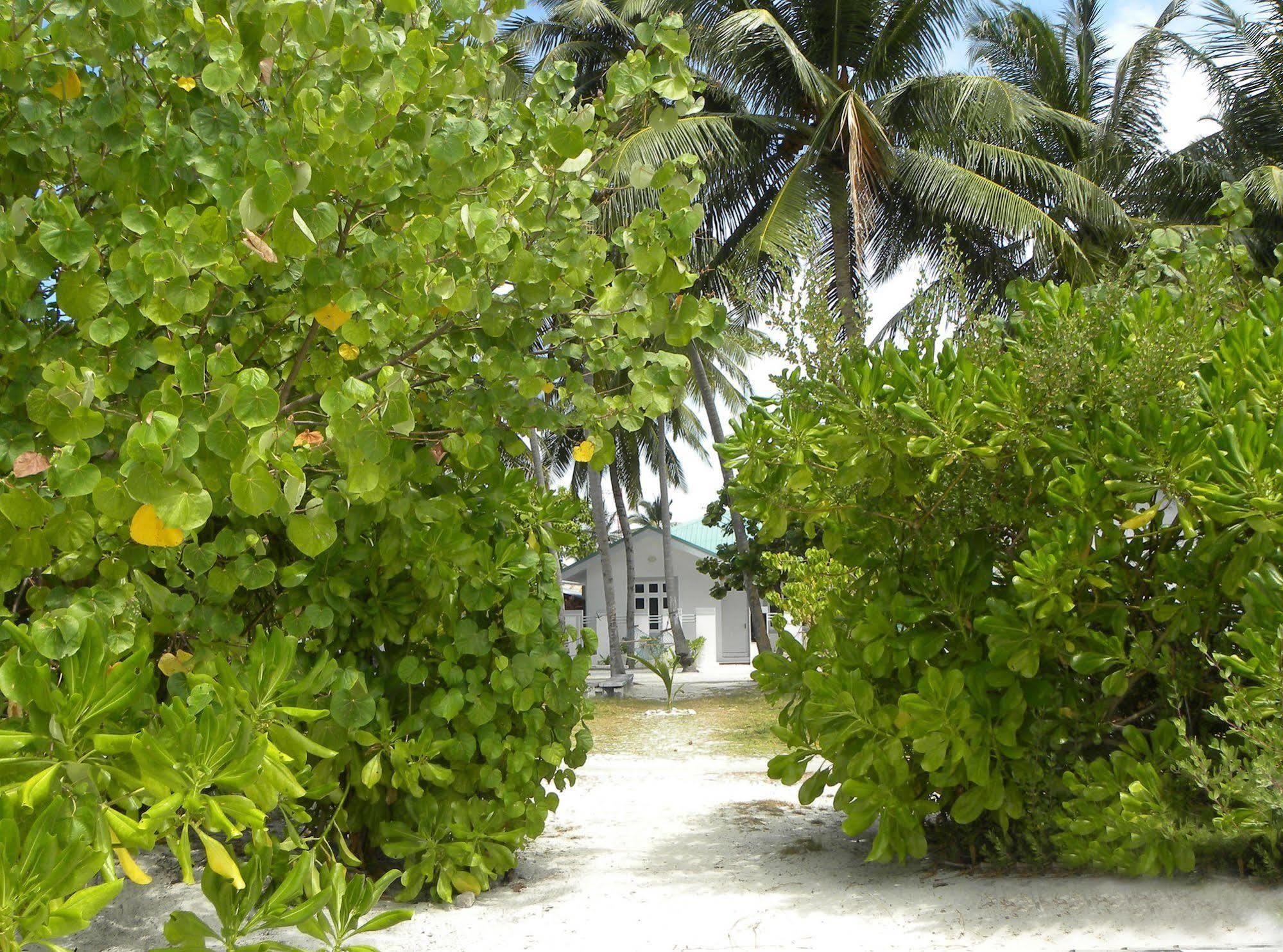 Hotel Vaali Maldives Island Escapes & Dive Felidhoo Exteriér fotografie